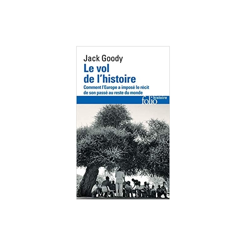 Le vol de l'Histoire. Comment l'Europe a imposé le récit de son passé au reste du monde.