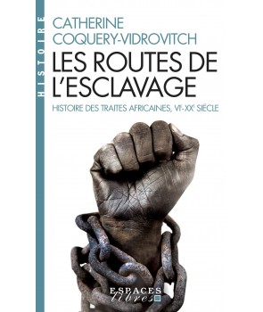 Les routes de l'esclavage - Histoires des traites africaines, VIè-XXè siècle