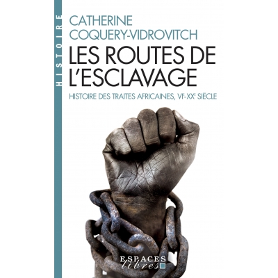 Les routes de l'esclavage - Histoires des traites africaines, VIè-XXè siècle