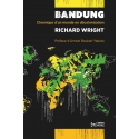 Bandung - Chronique d\'un monde en décolonisation