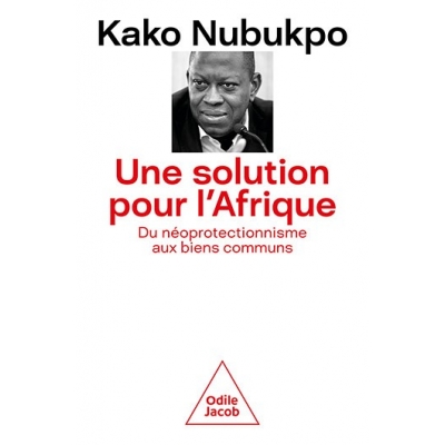 Une solution pour l'Afrique. Du néoprotectionnisme aux biens communs