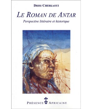 Le Roman de Antar, perspective littéraire et historique