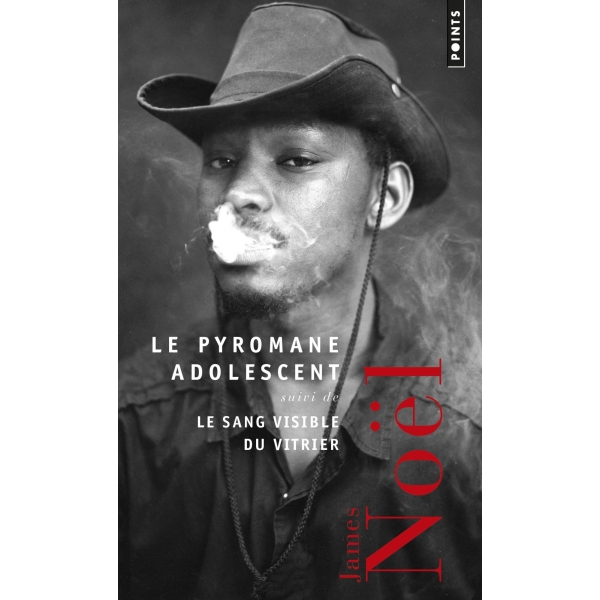 Le Pyromane adolescent suivi de Le Sang visible du vitrier